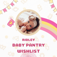 Ridley Baby Pantry Wishlist.png (728 KB)